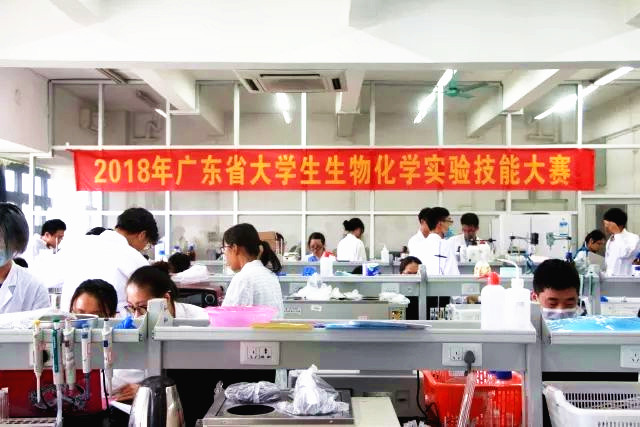​365英国上市公司官网员工荣获广东省生物化学实验技能大赛二等奖02.jpg